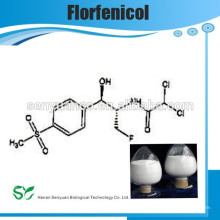 GMP Florfenicol / BP / EP / USP / florfenicol succinate de sodium